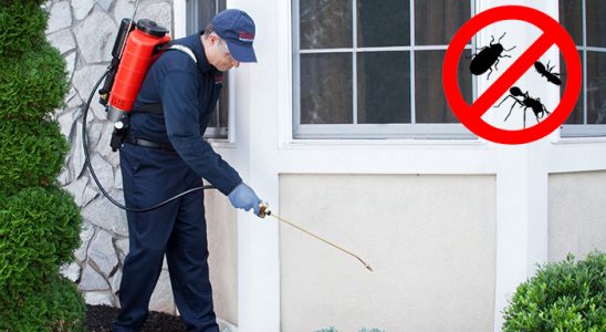 Odunpazarı Böcek ve Haşere İlaçlama böcek ilaçlama ve haşere kontrolü — ilaclama-tr.com